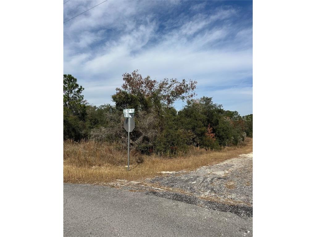 Lot 26 SE 133rd Avenue Dunnellon FL 34434 TB8450500 image2