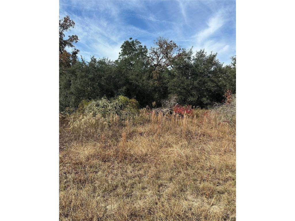 Lot 26 SE 133rd Avenue Dunnellon FL 34434 TB8450500 image4