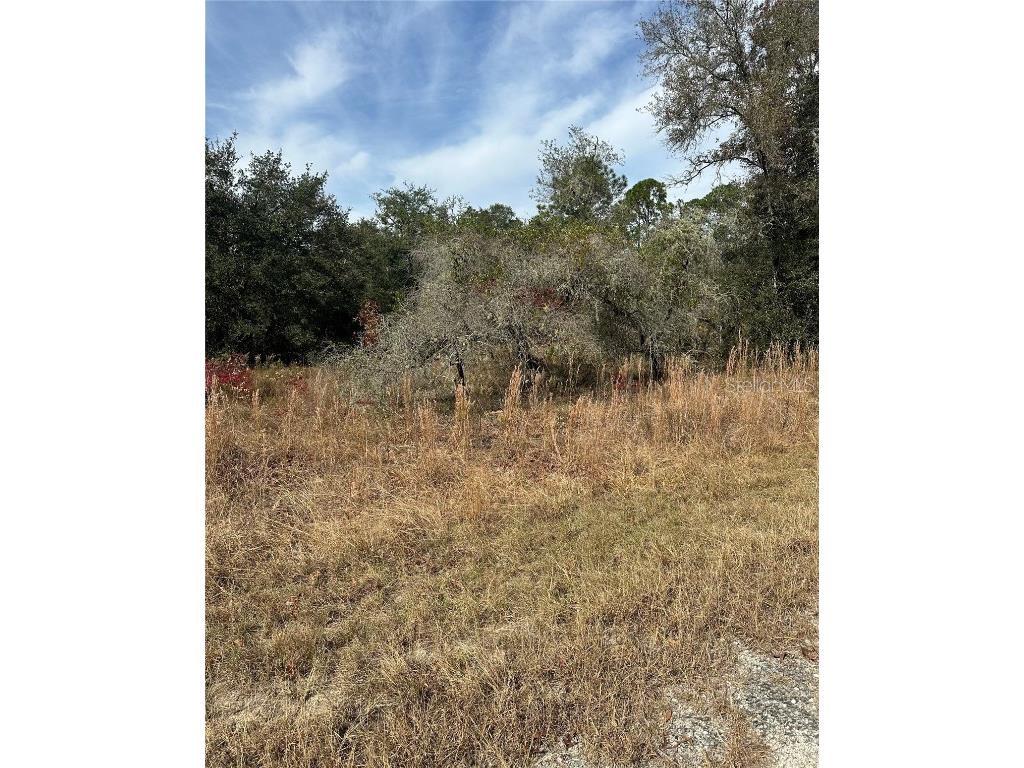 Lot 26 SE 133rd Avenue Dunnellon FL 34434 TB8450500 image5