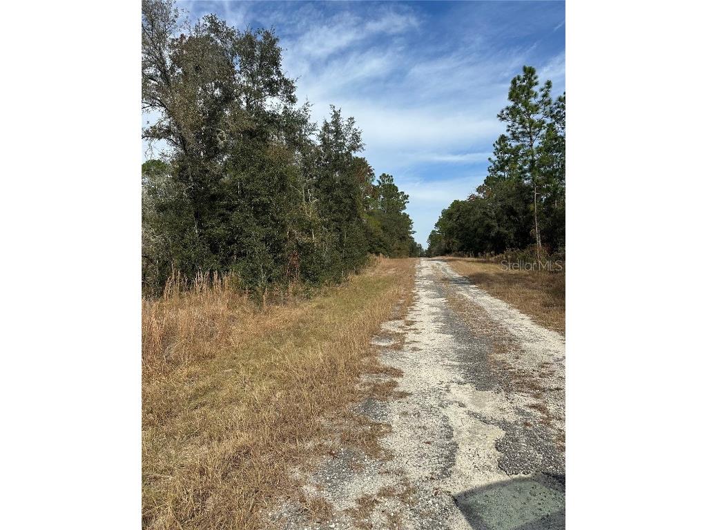 Lot 26 SE 133rd Avenue Dunnellon FL 34434 TB8450500 image6