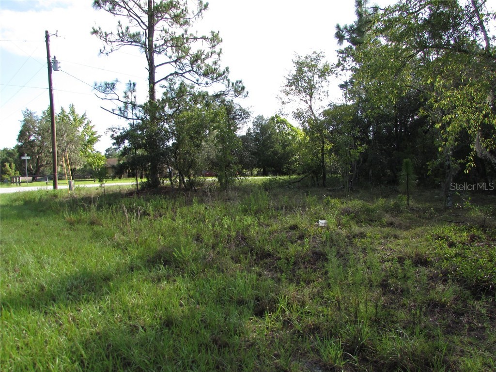 Lot 26 SE 136 Terrace Dunnellon FL 34431 OM705659 image1