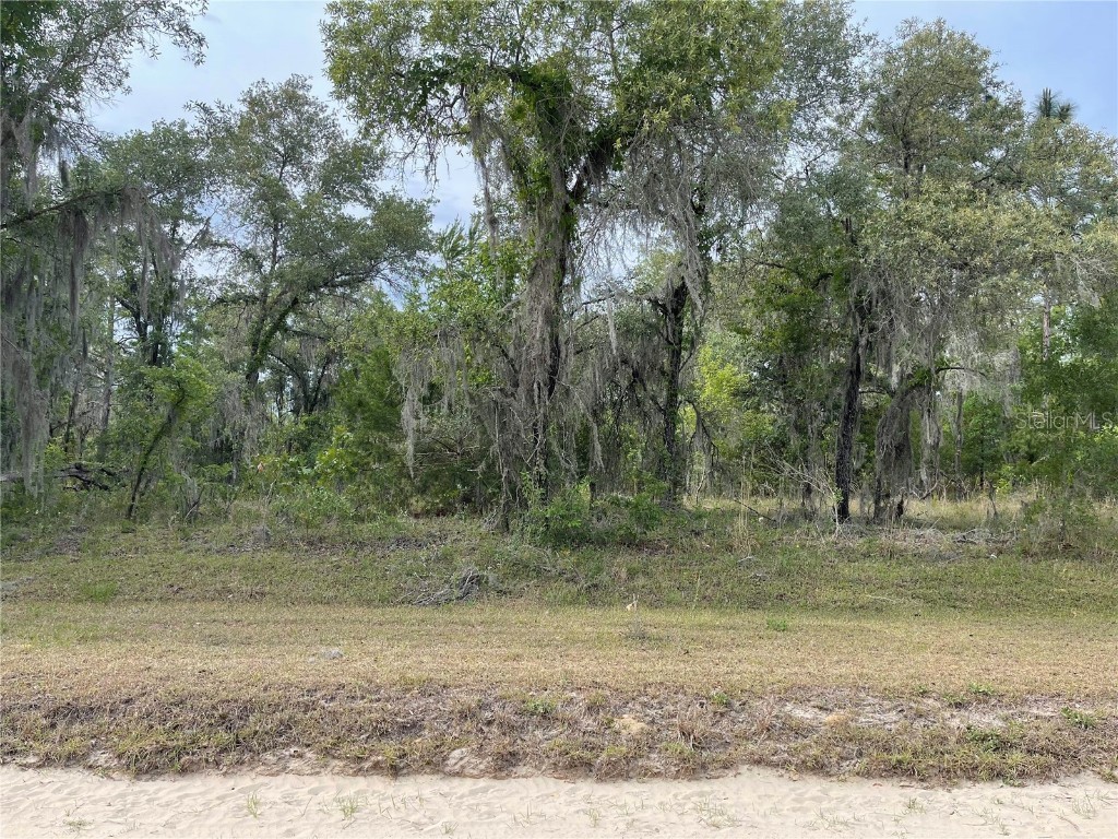 Lot 26 SE 16 Lane Morriston FL 32668 OM656846 image1