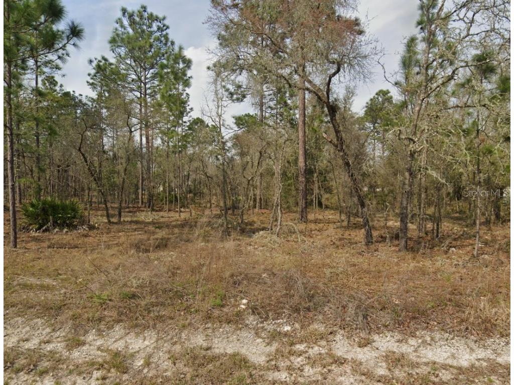 Lot 26 SW 68th Loop Dunnellon FL 34432 A4636255 image1