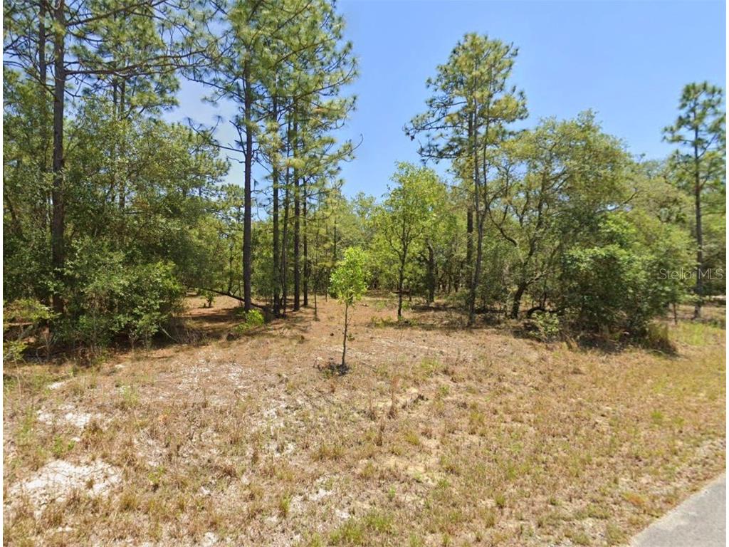 Lot 26 SW Wood Road Dunnellon FL 34431 O6180273 image1