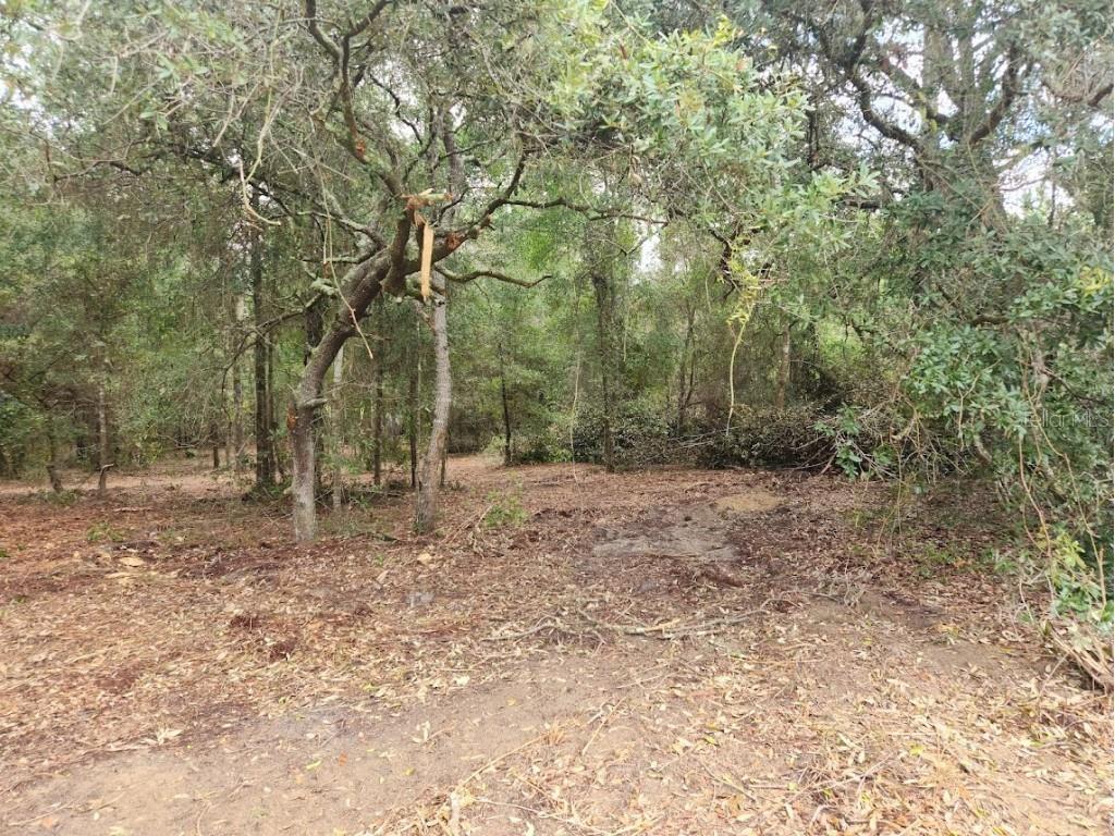 Lot 27 SW Pine Bluffs Road Dunnellon FL 34431 OM706808 image12