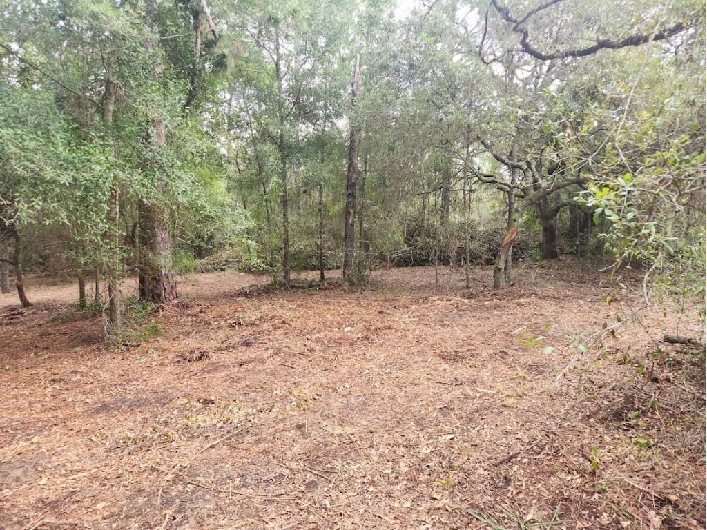 Lot 27 SW Pine Bluffs Road Dunnellon FL 34431 OM706808 image14