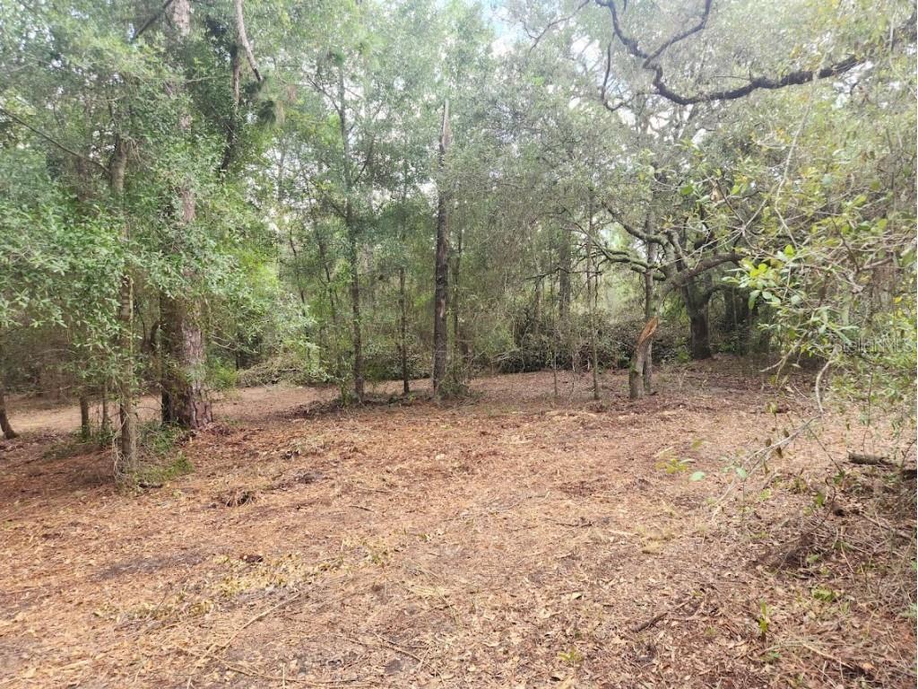 Lot 27 SW Pine Bluffs Road Dunnellon FL 34431 OM706808 image15