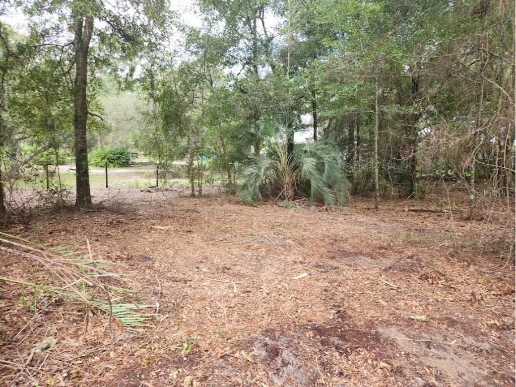 Lot 27 SW Pine Bluffs Road Dunnellon FL 34431 OM706808 image16