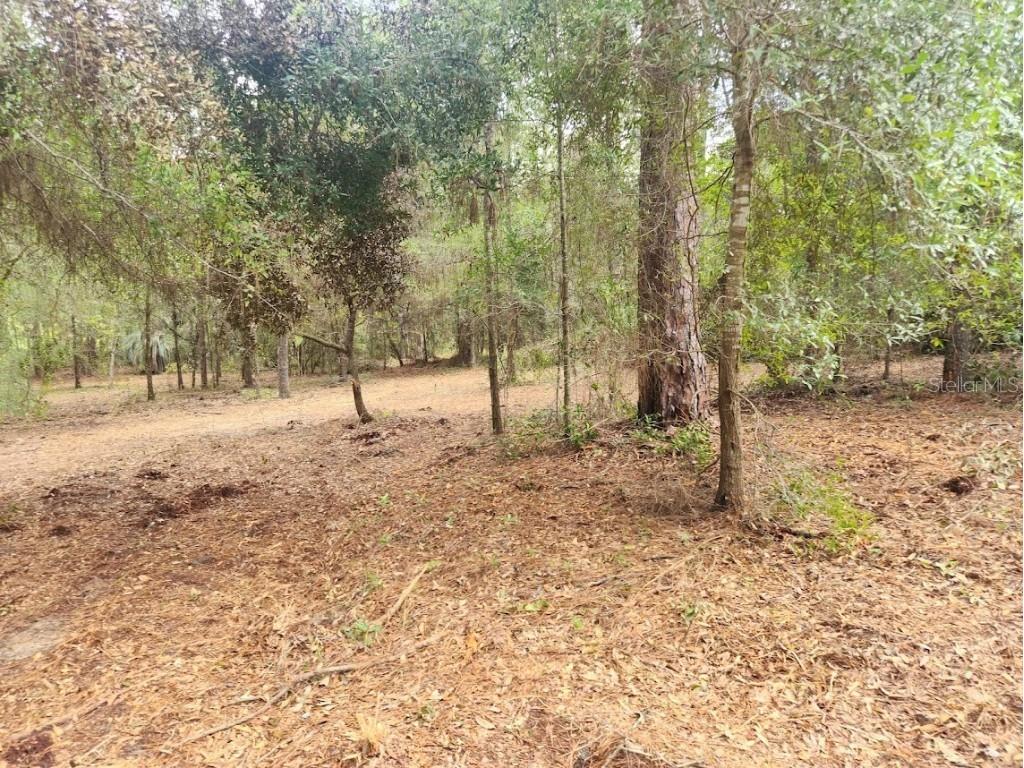 Lot 27 SW Pine Bluffs Road Dunnellon FL 34431 OM706808 image17