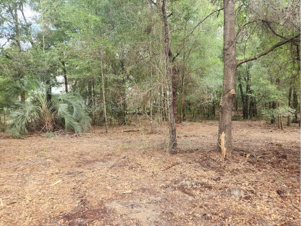 Lot 27 SW Pine Bluffs Road Dunnellon FL 34431 OM706808 image18