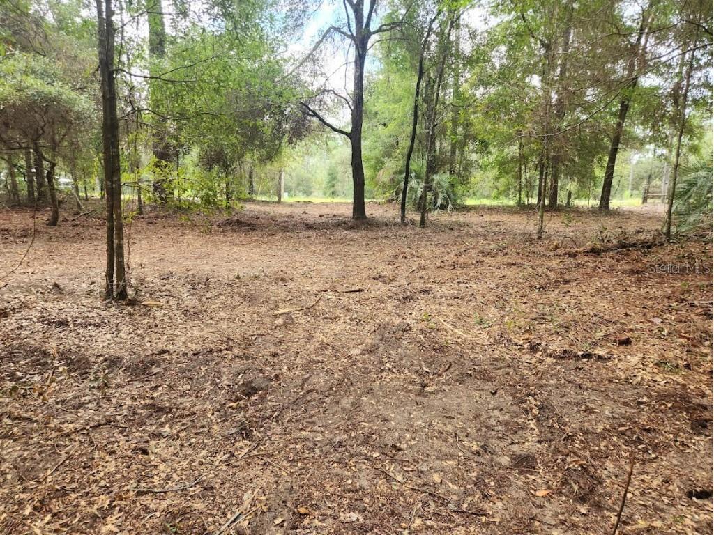Lot 27 SW Pine Bluffs Road Dunnellon FL 34431 OM706808 image19