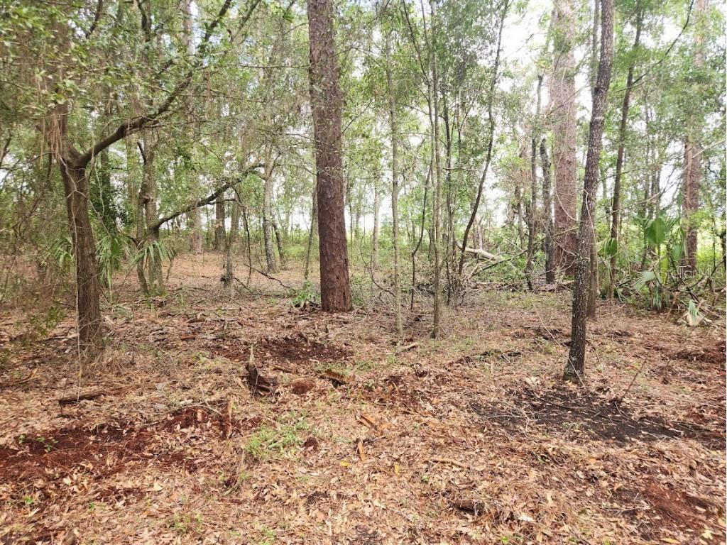 Lot 27 SW Pine Bluffs Road Dunnellon FL 34431 OM706808 image20