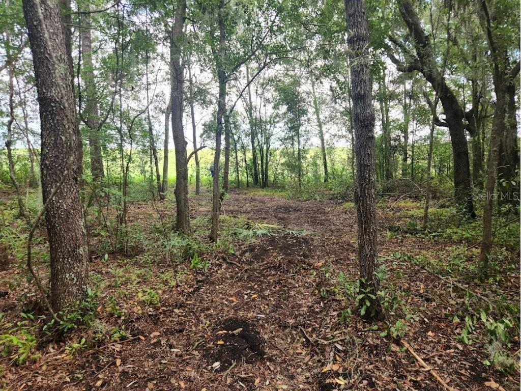 Lot 27 SW Pine Bluffs Road Dunnellon FL 34431 OM706808 image21