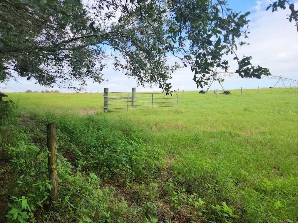 Lot 27 SW Pine Bluffs Road Dunnellon FL 34431 OM706808 image22