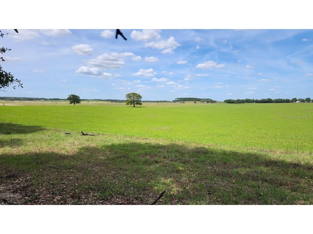 Lot 27 SW Pine Bluffs Road Dunnellon FL 34431 OM706808 image4