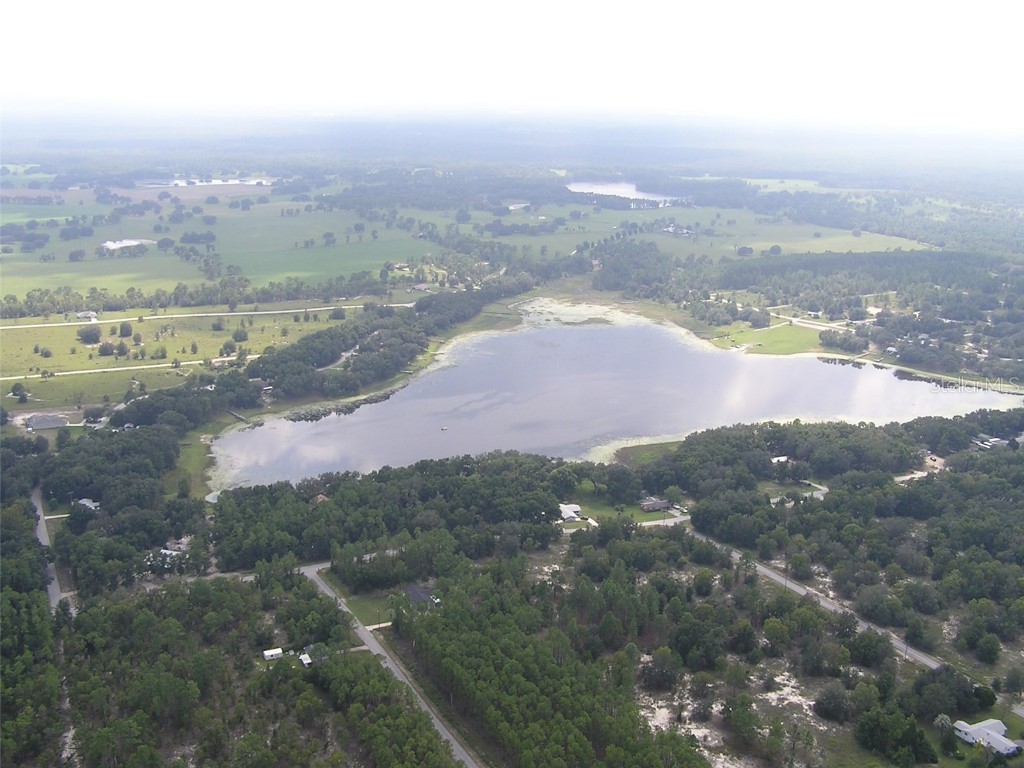 Lot 27 SW Pine Bluffs Road Dunnellon FL 34431 OM706808 image8