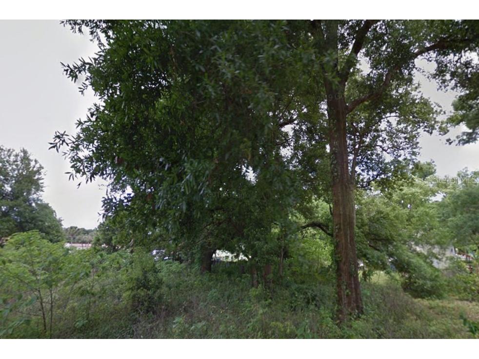 Lot 28 NW 21st Avenue Ocala FL 34475 OM726810 image2