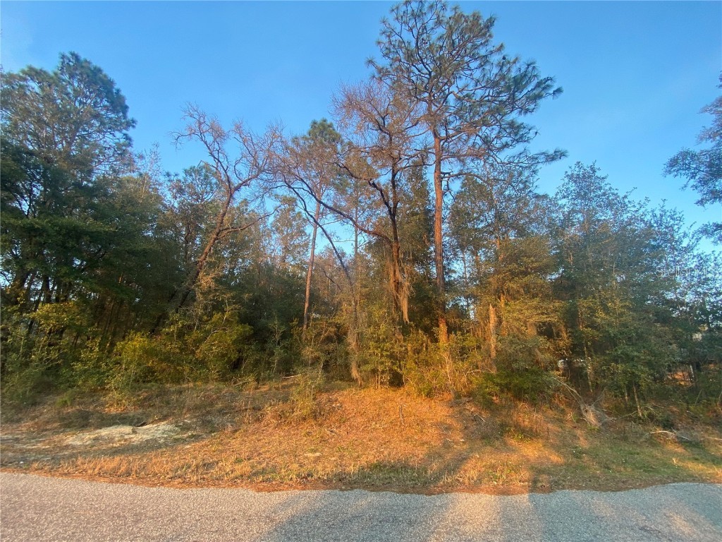 Lot 28 SW 206 Circle Dunnellon FL 34431 - RAINBOW RIVER RESIDENCE PARK OM672236 image1