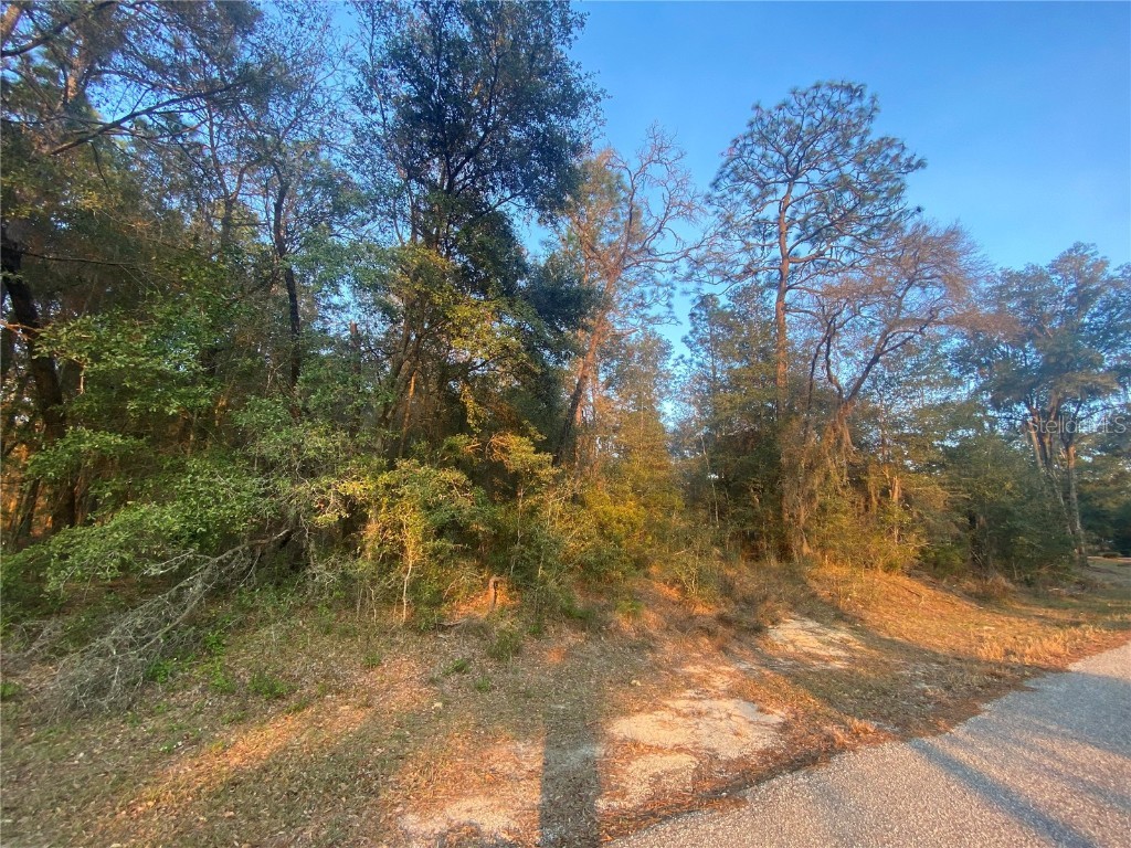 Lot 28 SW 206 Circle Dunnellon FL 34431 - RAINBOW RIVER RESIDENCE PARK OM672236 image2