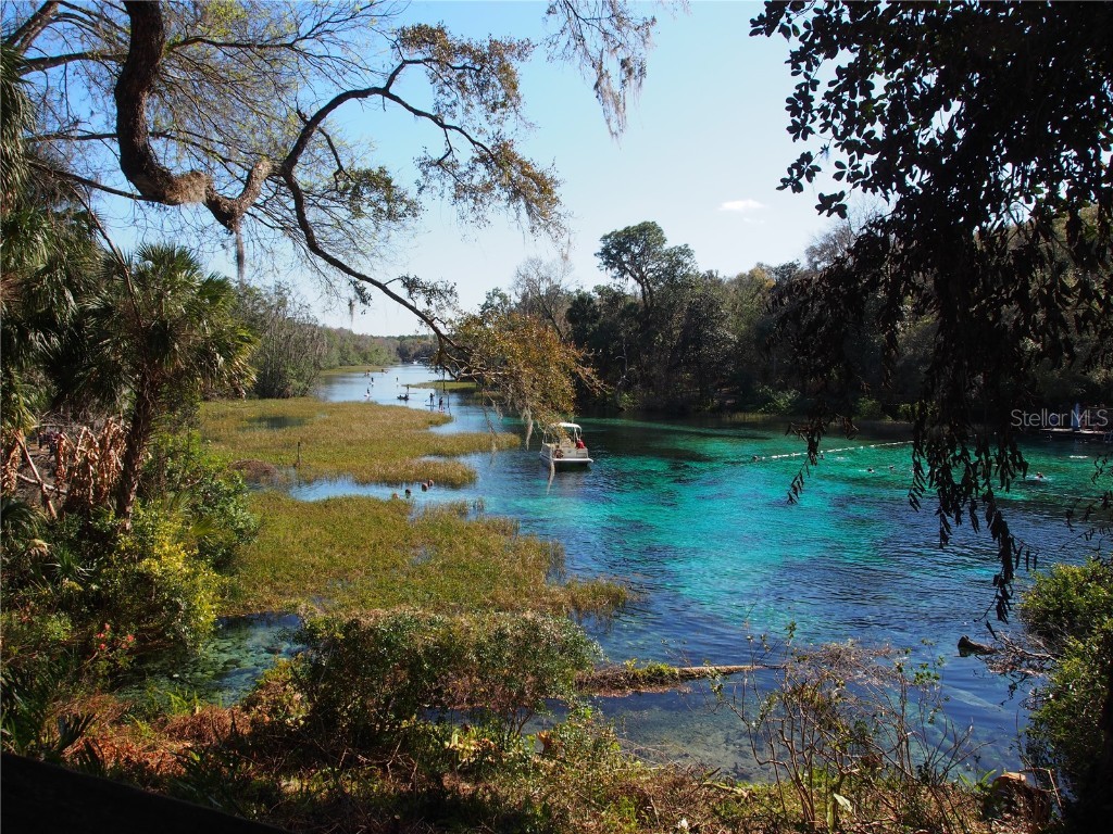 Lot 28 SW 206 Circle Dunnellon FL 34431 - RAINBOW RIVER RESIDENCE PARK OM672236 image8