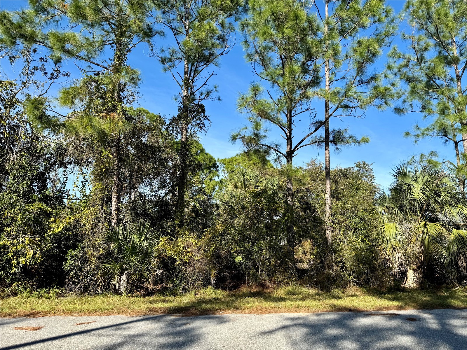 Lot 28 Swiss Avenue North Port FL 34291 N6142678 image11