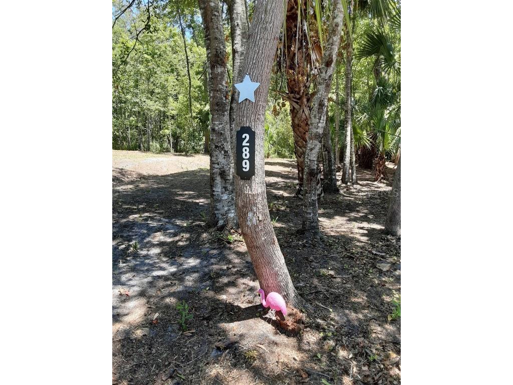 Lot 289 Cutlass Drive Hudson FL 34667 W7855933 image1