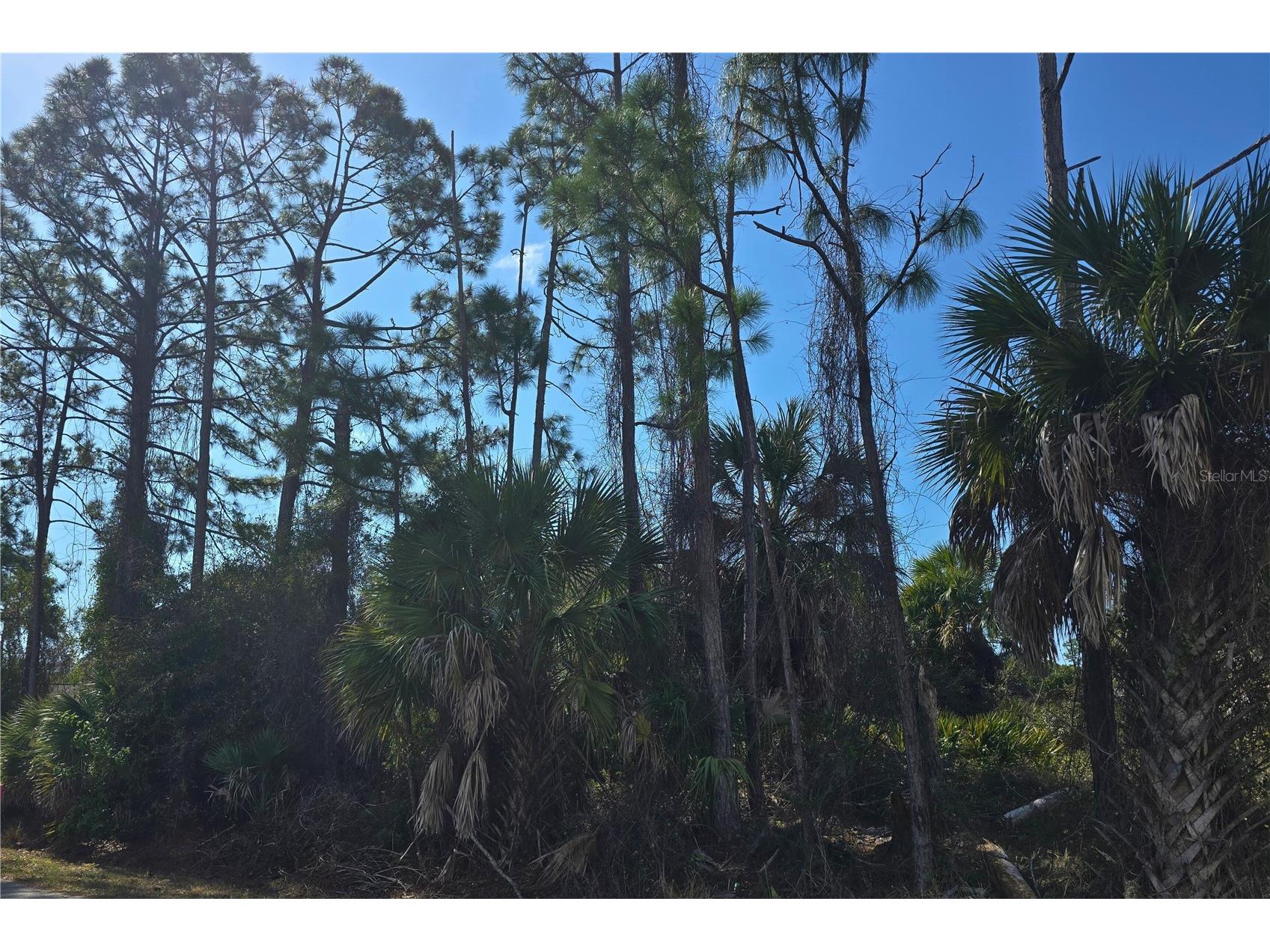 Lot 29 / Block 254 Allegheny Lane North Port FL 34286 N6143154 image1