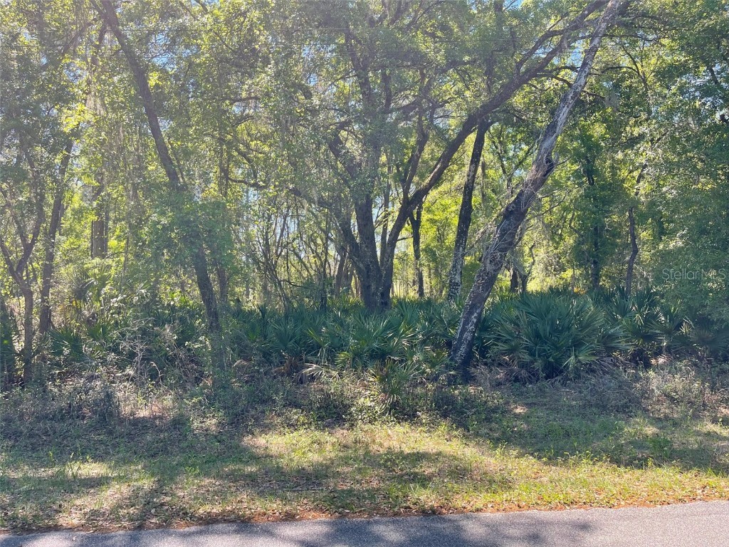 Lot 29 Locust Radial Course Ocala FL 34472 OM675208 image1