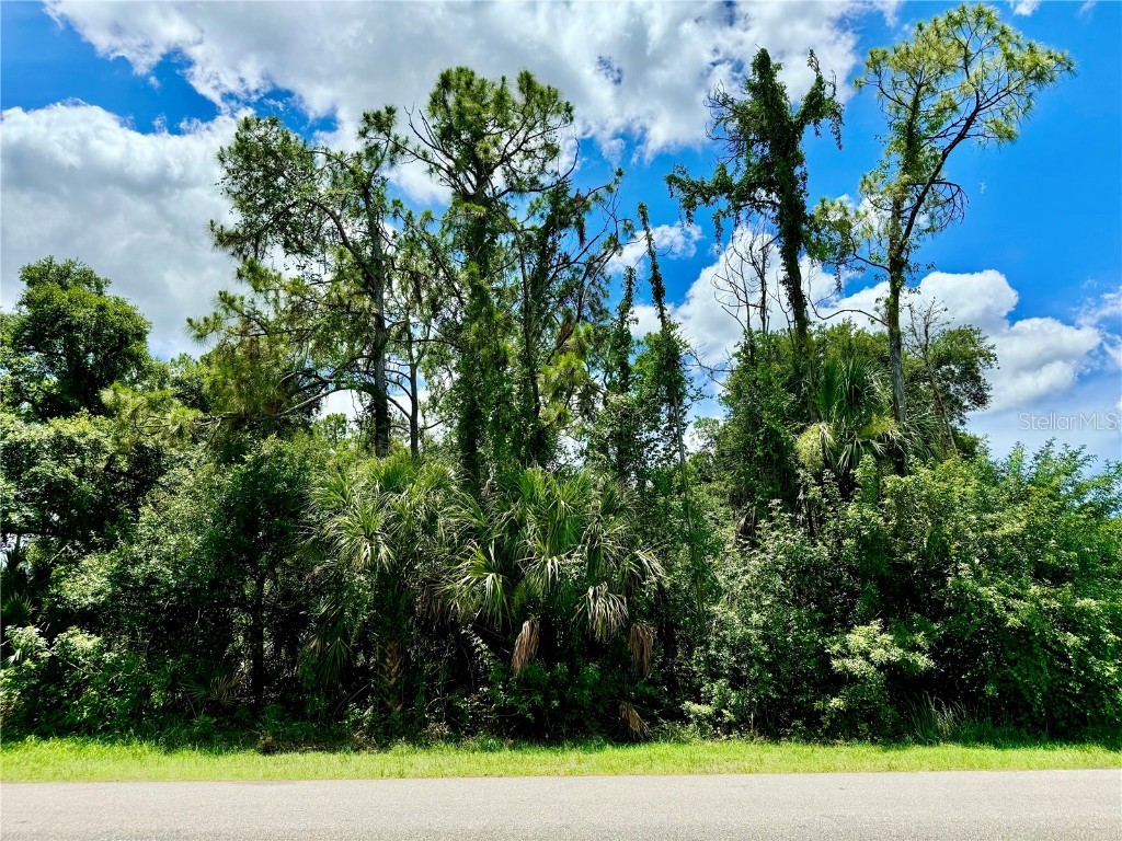 Lot 29 Sheboygan Avenue North Port FL 34286 N6133532 image1