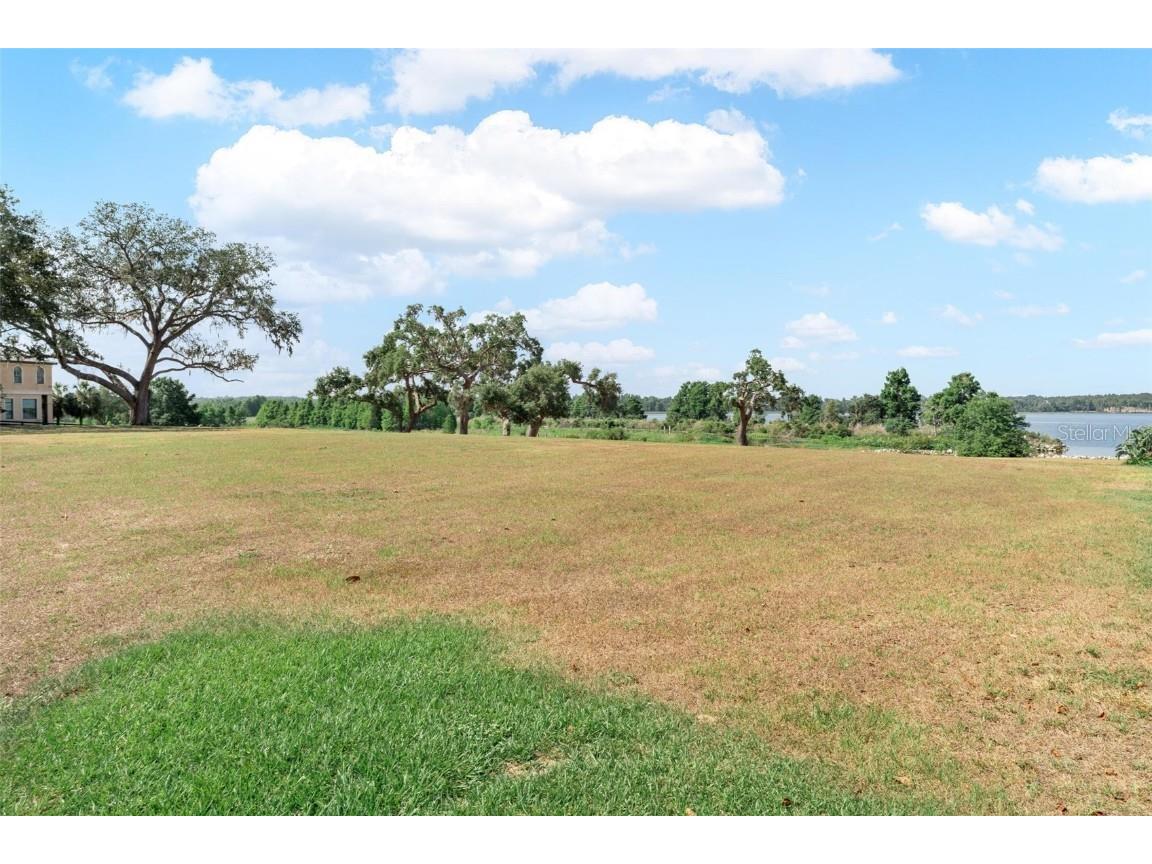 Lot 29 Stonelake Ranch Blvd Thonotosassa FL 33592 - LAKE THONOTOSASSA TB8405768 image10