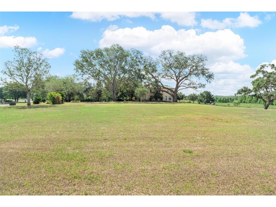 Lot 29 Stonelake Ranch Blvd Thonotosassa FL 33592 - LAKE THONOTOSASSA TB8405768 image11