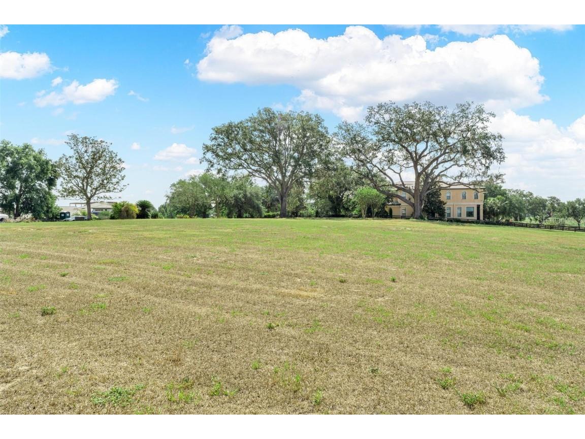 Lot 29 Stonelake Ranch Blvd Thonotosassa FL 33592 - LAKE THONOTOSASSA TB8405768 image13