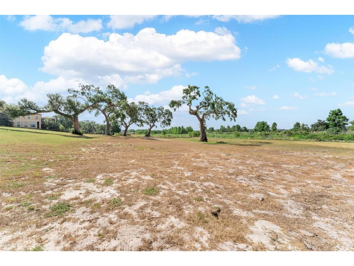 Lot 29 Stonelake Ranch Blvd Thonotosassa FL 33592 - LAKE THONOTOSASSA TB8405768 image15