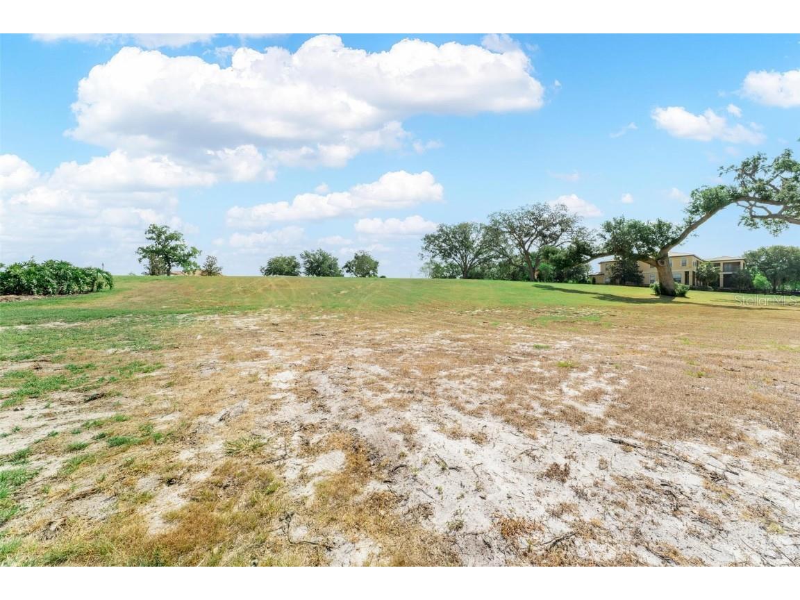Lot 29 Stonelake Ranch Blvd Thonotosassa FL 33592 - LAKE THONOTOSASSA TB8405768 image16