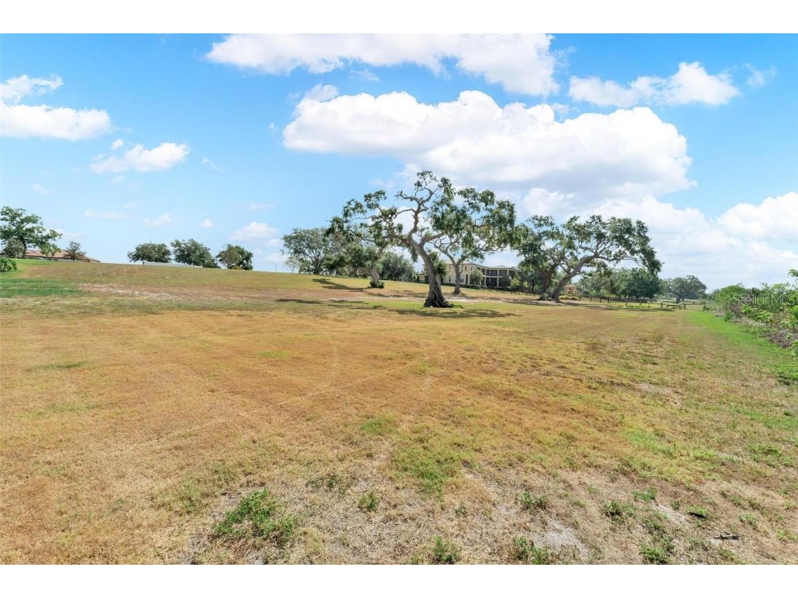 Lot 29 Stonelake Ranch Blvd Thonotosassa FL 33592 - LAKE THONOTOSASSA TB8405768 image17