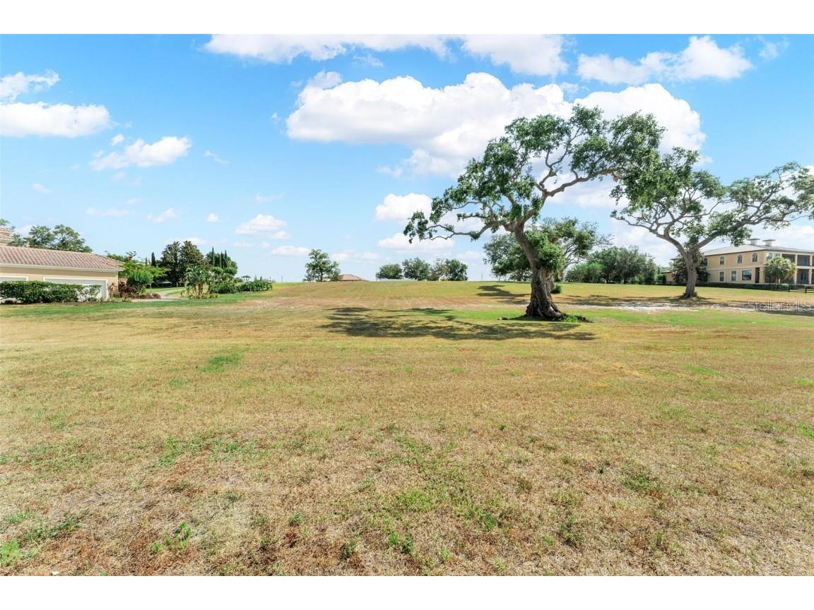 Lot 29 Stonelake Ranch Blvd Thonotosassa FL 33592 - LAKE THONOTOSASSA TB8405768 image18