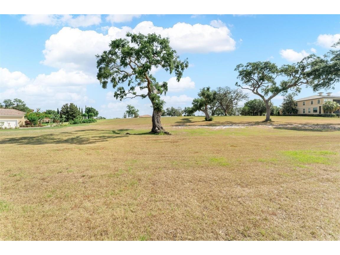 Lot 29 Stonelake Ranch Blvd Thonotosassa FL 33592 - LAKE THONOTOSASSA TB8405768 image19