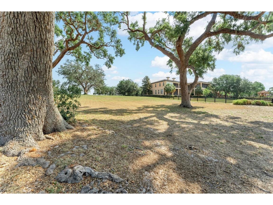 Lot 29 Stonelake Ranch Blvd Thonotosassa FL 33592 - LAKE THONOTOSASSA TB8405768 image22