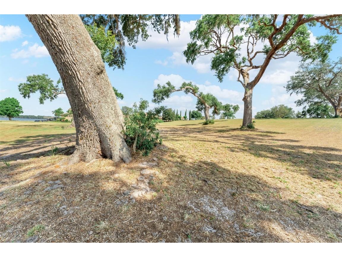 Lot 29 Stonelake Ranch Blvd Thonotosassa FL 33592 - LAKE THONOTOSASSA TB8405768 image23