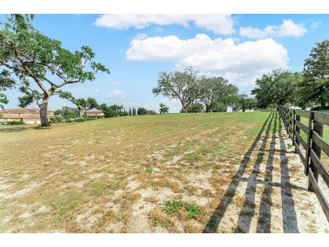 Lot 29 Stonelake Ranch Blvd Thonotosassa FL 33592 - LAKE THONOTOSASSA TB8405768 image24