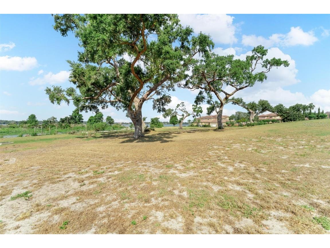Lot 29 Stonelake Ranch Blvd Thonotosassa FL 33592 - LAKE THONOTOSASSA TB8405768 image25