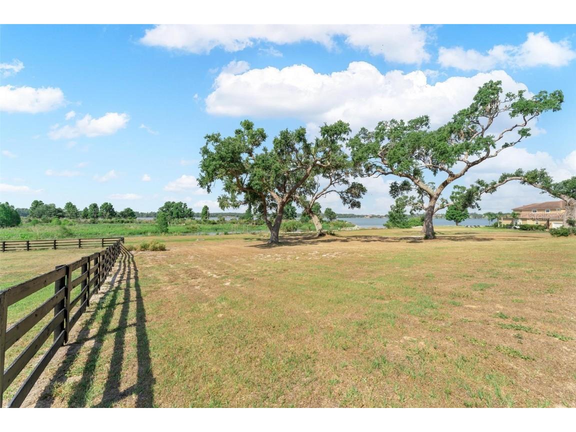 Lot 29 Stonelake Ranch Blvd Thonotosassa FL 33592 - LAKE THONOTOSASSA TB8405768 image26