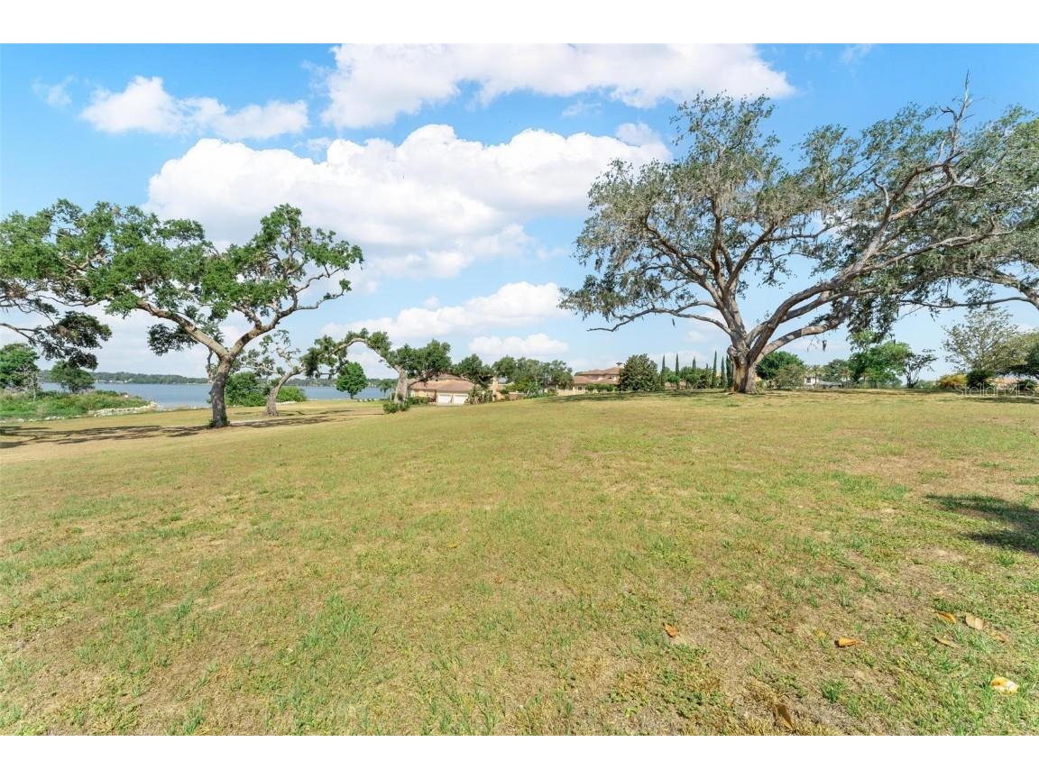 Lot 29 Stonelake Ranch Blvd Thonotosassa FL 33592 - LAKE THONOTOSASSA TB8405768 image27