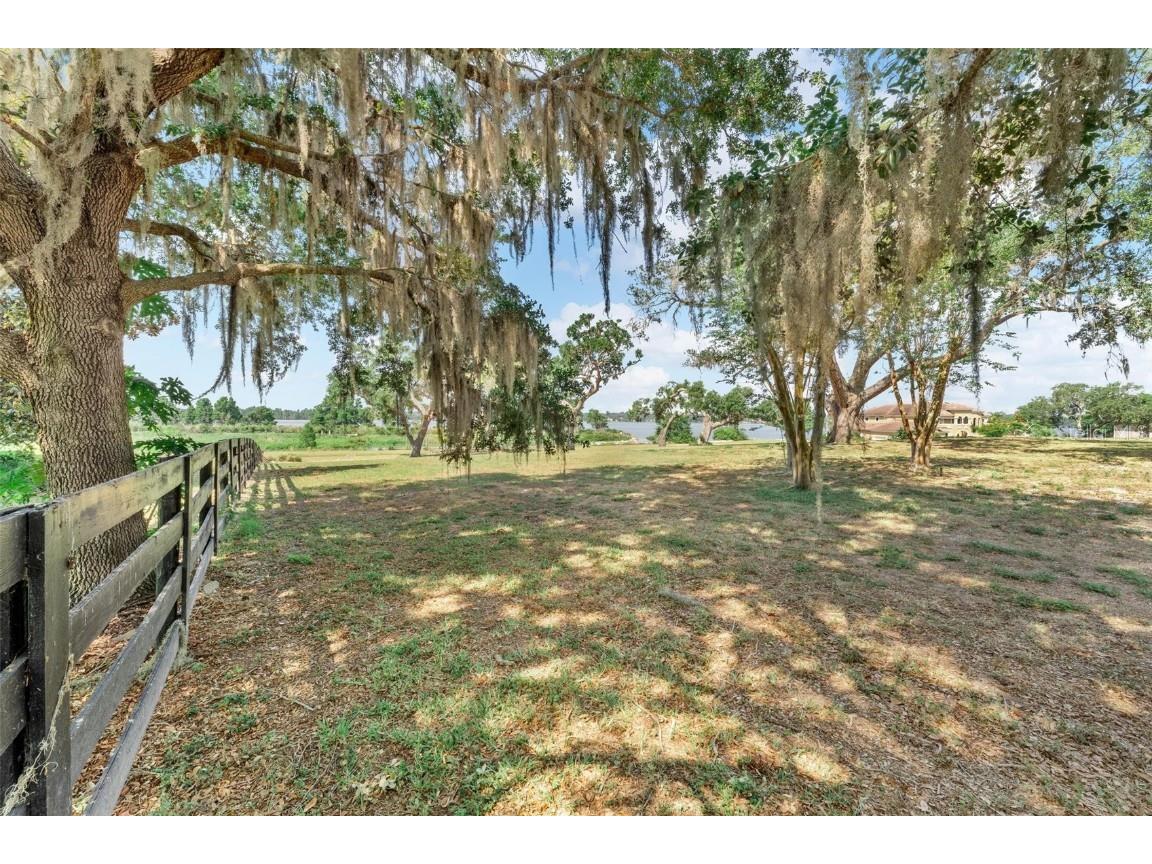 Lot 29 Stonelake Ranch Blvd Thonotosassa FL 33592 - LAKE THONOTOSASSA TB8405768 image28