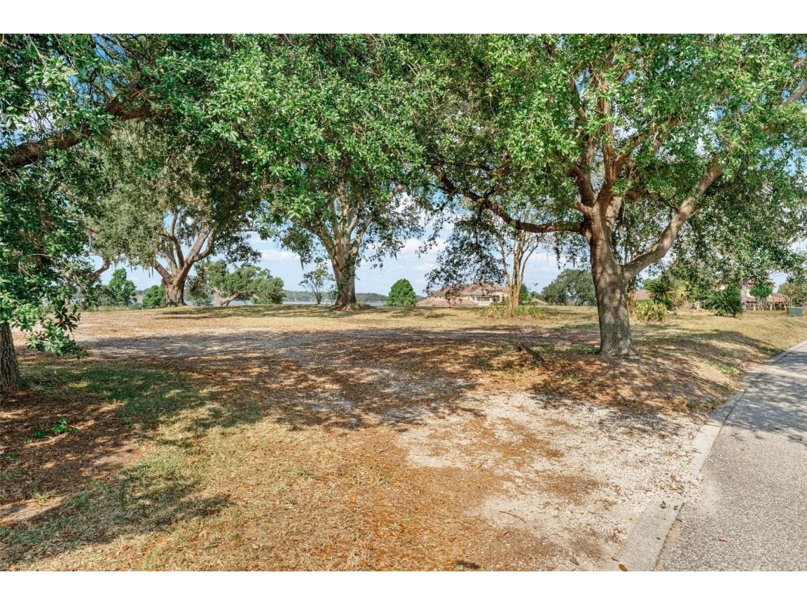 Lot 29 Stonelake Ranch Blvd Thonotosassa FL 33592 - LAKE THONOTOSASSA TB8405768 image3