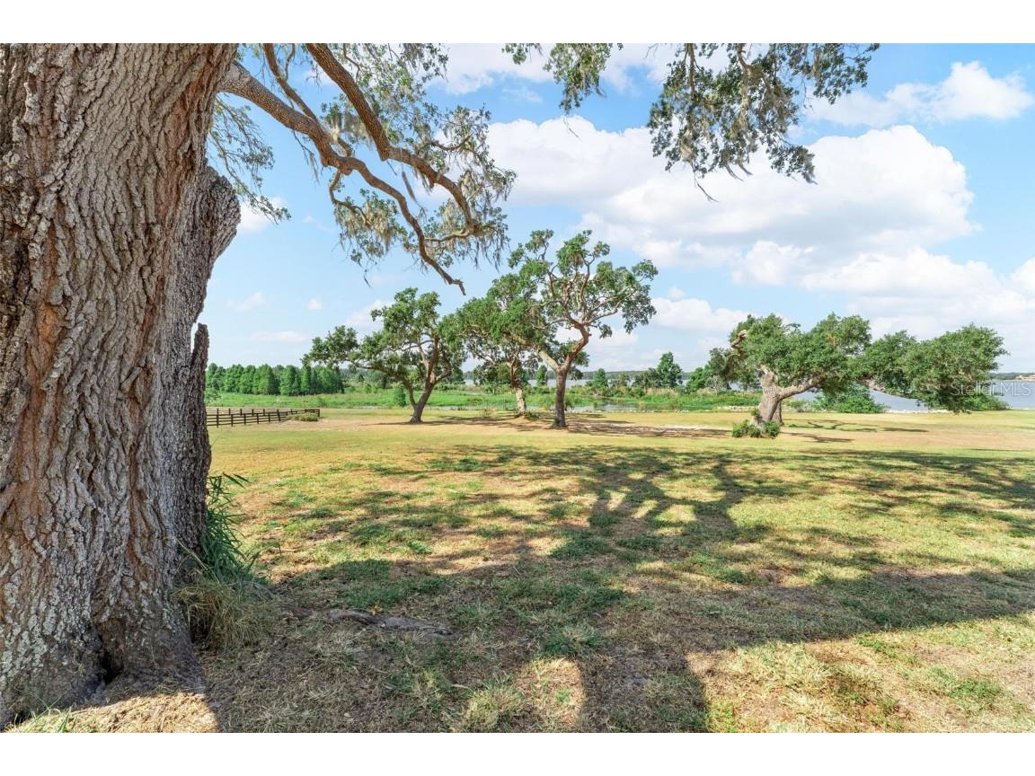 Lot 29 Stonelake Ranch Blvd Thonotosassa FL 33592 - LAKE THONOTOSASSA TB8405768 image30