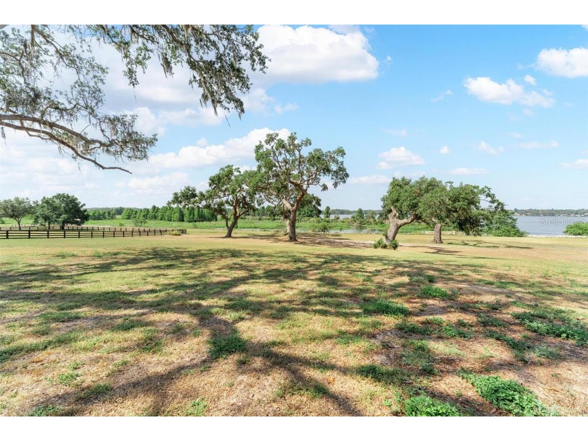 Lot 29 Stonelake Ranch Blvd Thonotosassa FL 33592 - LAKE THONOTOSASSA TB8405768 image31