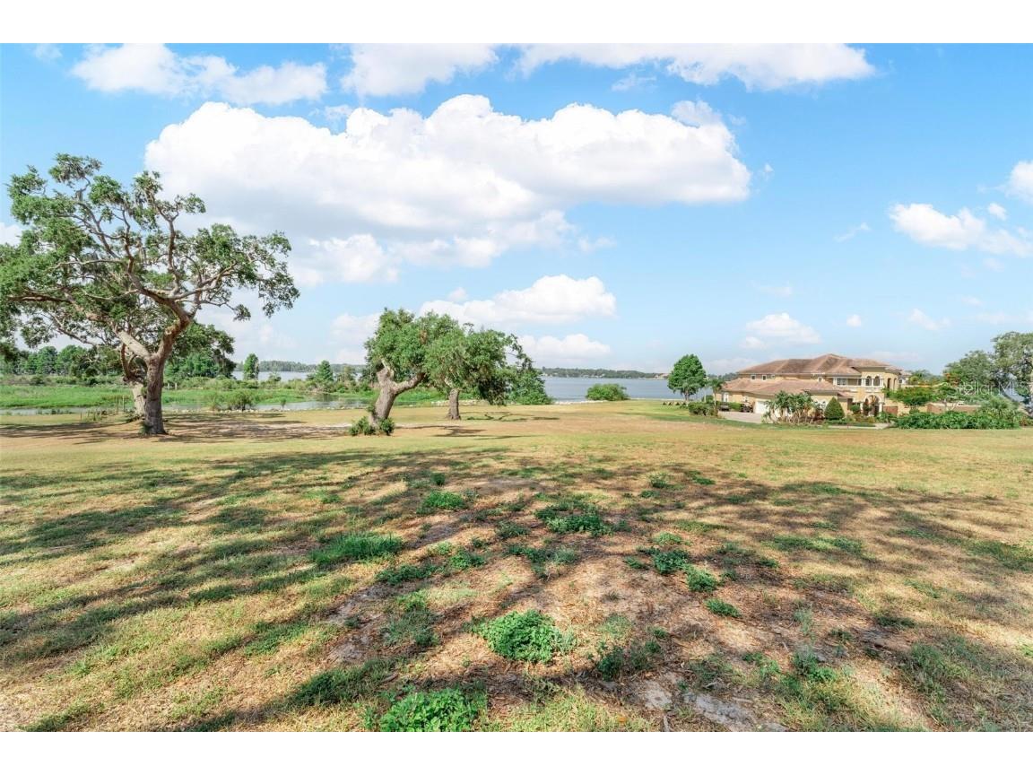 Lot 29 Stonelake Ranch Blvd Thonotosassa FL 33592 - LAKE THONOTOSASSA TB8405768 image32