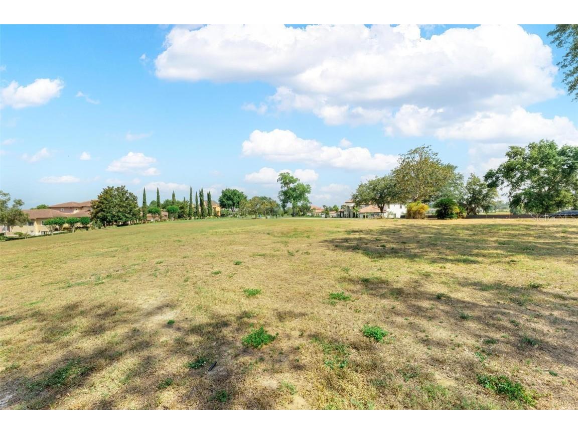 Lot 29 Stonelake Ranch Blvd Thonotosassa FL 33592 - LAKE THONOTOSASSA TB8405768 image33