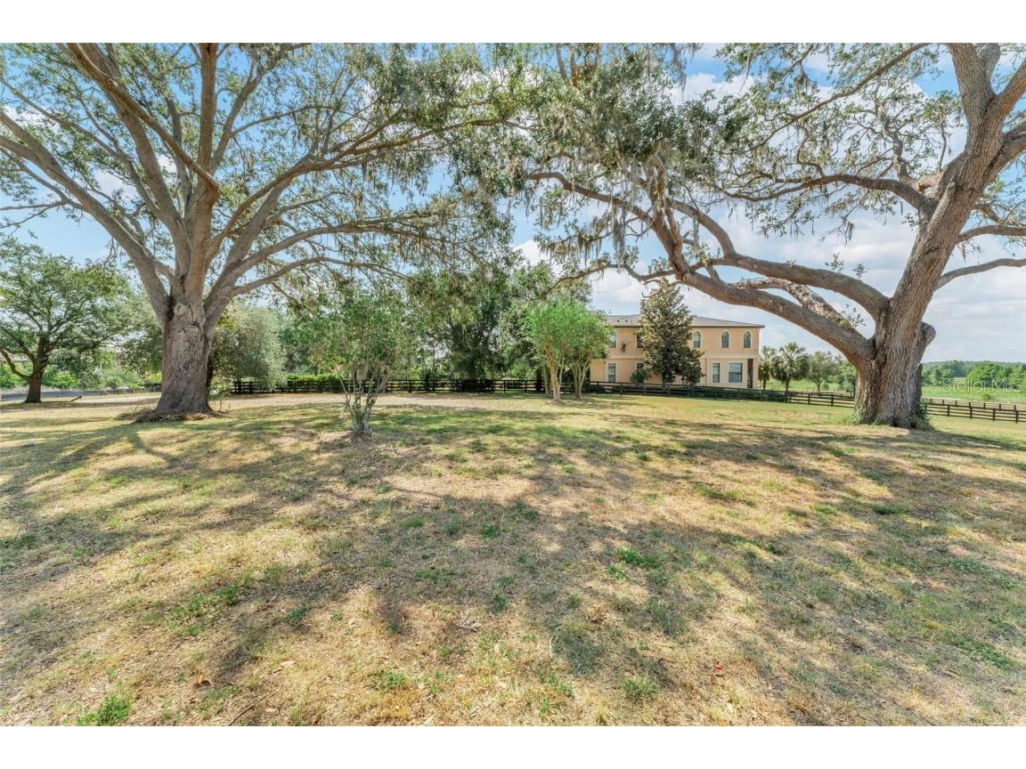 Lot 29 Stonelake Ranch Blvd Thonotosassa FL 33592 - LAKE THONOTOSASSA TB8405768 image35